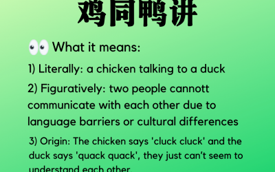 鸡同鸭讲 (chicken talking to duck)